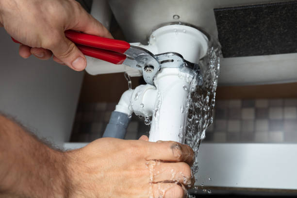 Best Sewage cleanup and water damage restoration  in Elroy, NC