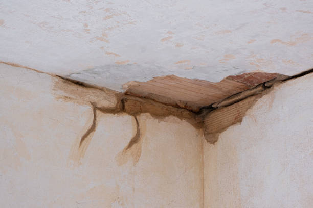 Best 24-hour water damage restoration  in Elroy, NC
