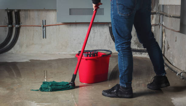 Best Water damage restoration insurance claims  in Elroy, NC
