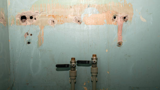 Best Commercial water damage restoration  in Elroy, NC