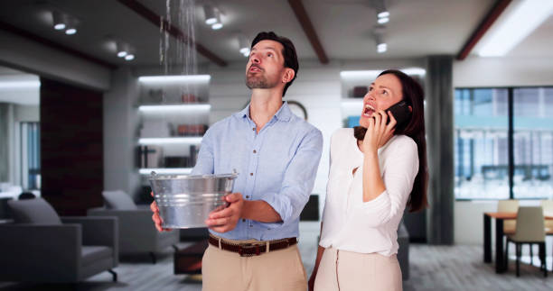 Best Water damage cleanup near me  in Elroy, NC