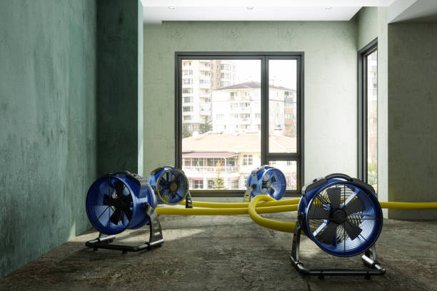 Best Ceiling water damage repair  in Elroy, NC