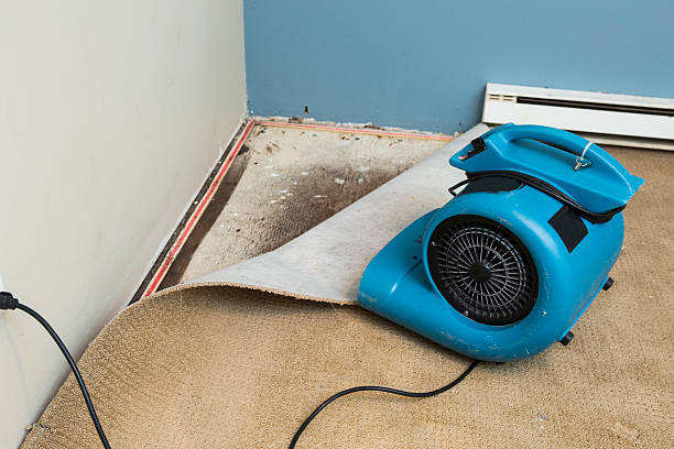 Best Residential water damage restoration  in Elroy, NC